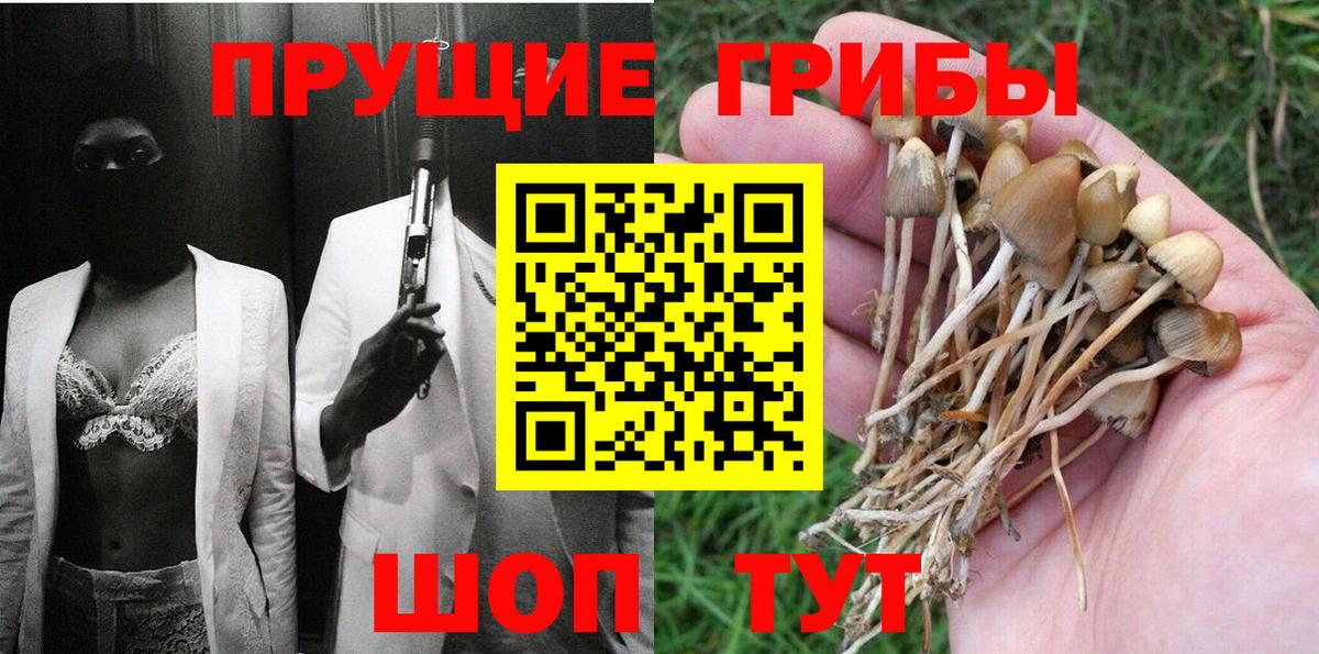 Псилоцибиновые грибы MAGIC MUSHROOMS Кимры