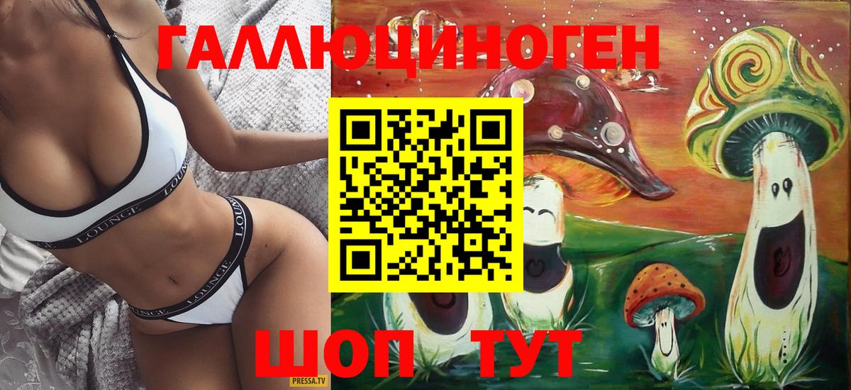 ГАШ Кимры
